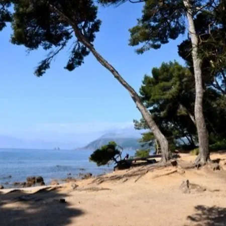 Zen Sud A Pied Pin Rolland Sablettes *